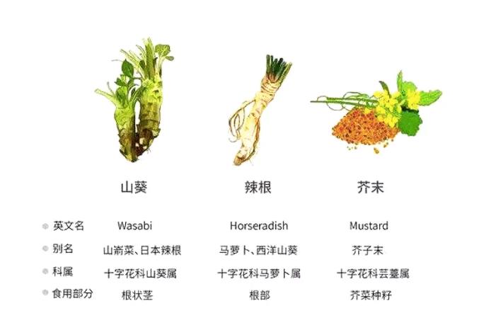 山葵和芥末的区别（附图片）