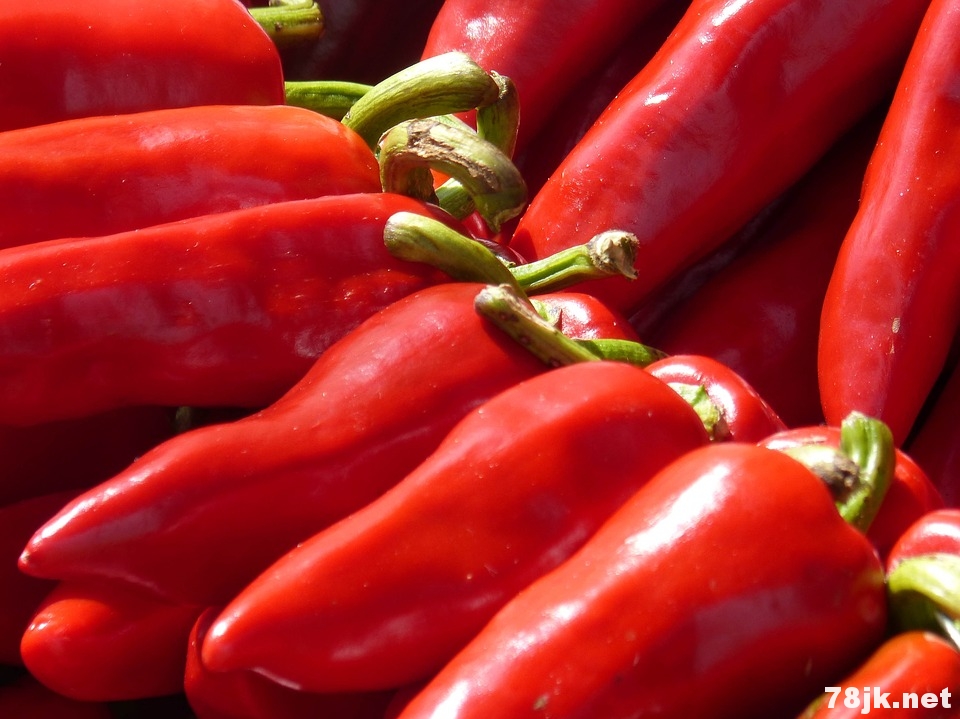 吃辣椒的好处和坏处有哪些？