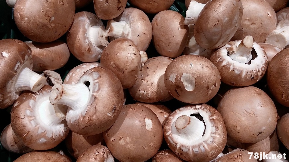 吃蘑菇有什么好处和功效？