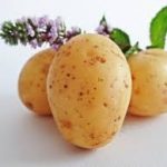 土豆的功效与作用_营养价值_禁忌人群