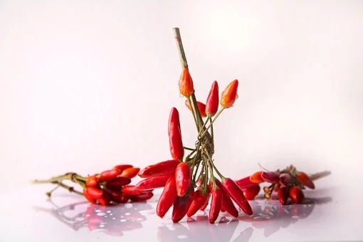 研究表明辣椒、大麻可以减少肠道炎症