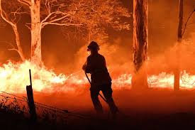 新西兰卫生部监测澳大利亚丛林大火后的空气质量