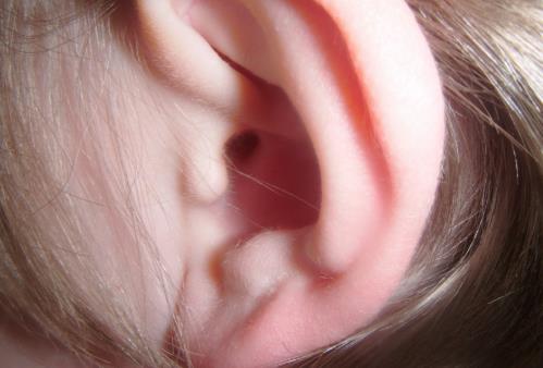 听力退化未矫正恐致大脑也退化