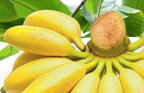 香蕉保护心脏还防抽筋什么时候吃最好？