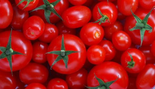 【100g西红柿的营养成分】卡路里_热量_脂肪_维生素_矿物质