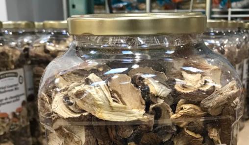 牡蛎蘑菇的功效与作用_好处和营养价值