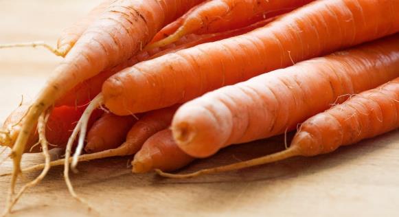 胡萝卜可以抗癌吗_胡萝卜对癌症的作用和好处