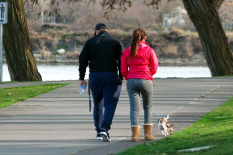 每天坚持散步可以降低患糖尿病和高血压的风险