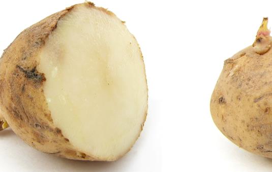 马铃薯对心脏的好处_土豆可以预防心脏病吗？