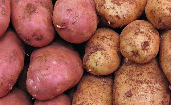 土豆抗炎吗_吃马铃薯可以减少炎症吗？