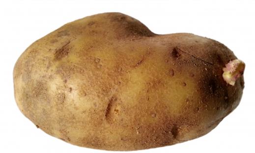 土豆可以帮助减肥吗_吃马铃薯减肥吗？