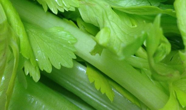 芹菜对肝脏的好处有哪些？怎样吃芹菜可以对肝有好处？