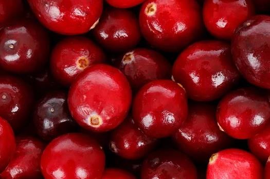 蔓越莓可以抗炎吗？炎症可以吃蔓越莓吗？