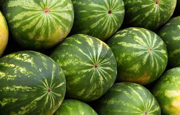 吃西瓜可以增强免疫力吗？西瓜对免疫力的好处？