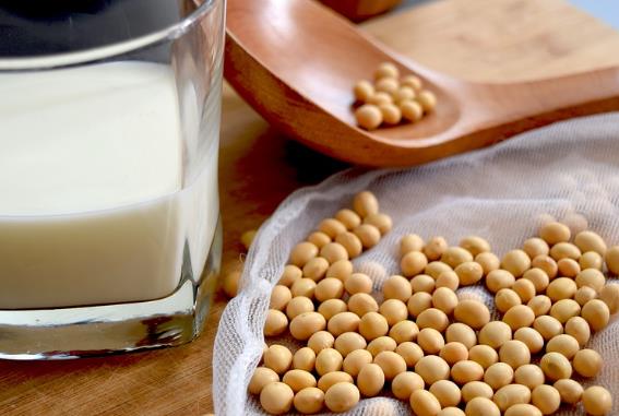 大豆蛋白帮助减肥吗？