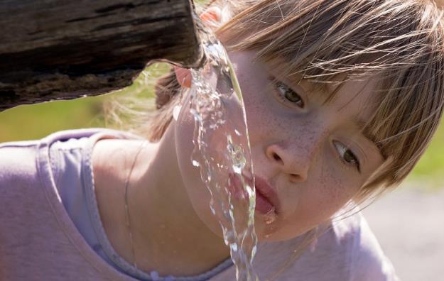 关于喝水的常见的11个问题