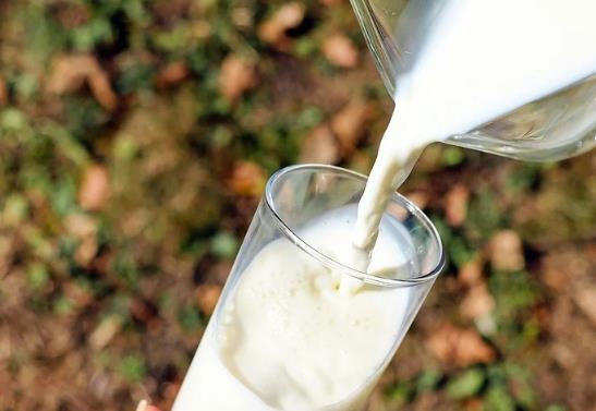 驼奶的功效与作用禁忌_骆驼奶和牛奶哪个好