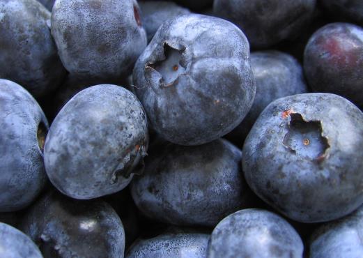 【100g蓝莓的营养成分】卡路里_热量_脂肪_维生素_矿物质