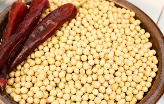 100g黄豆(大豆)的热量、营养价值和营养成分