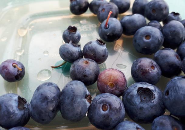 蓝莓的功效与作用_蓝莓的食用方法和禁忌