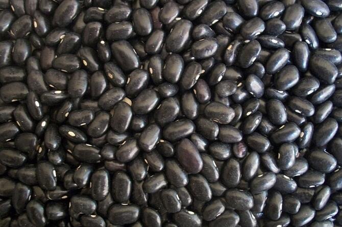 100g黑豆的热量、营养价值和营养成分表格