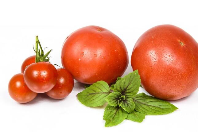 西红柿的功效与作用_营养价值食用方法和禁忌