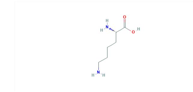 [附图]赖氨酸结构式