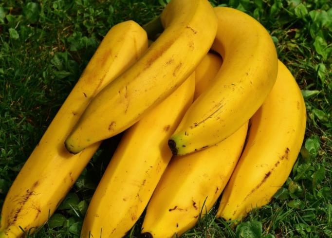 香蕉是凉性还是热性(来月经可以吃吗)