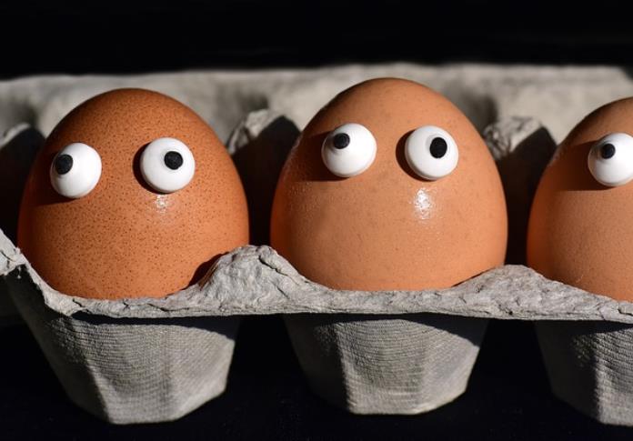 血糖高能吃鸡蛋吗（有什么危害）