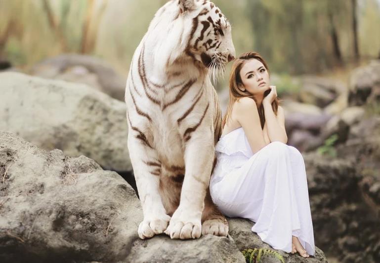 孕妇梦见老虎是什么征兆
