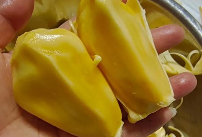 菠萝蜜可以放冰箱吗(剥好的菠萝蜜可以放冰箱吗)