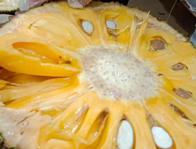 菠萝蜜熟透和烂的区别